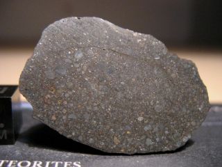 Meteorite NWA 8785 - Rare EL3 enstatite chondrite - Main Mass 2