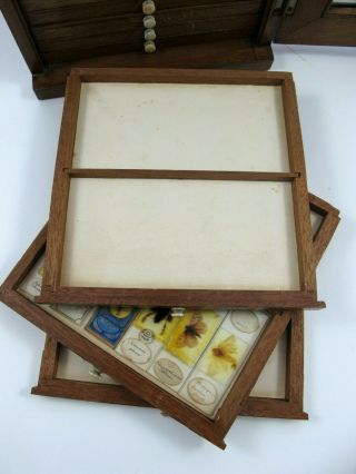 Collectors Antique Mahogany Microscope Slide Display Cabinet. 8