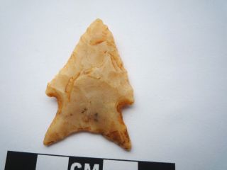 Native American Arrowhead 40mm,  Archaic Artifact,  1000BC - 8000BC (0815) 3