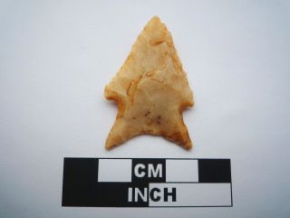 Native American Arrowhead 40mm,  Archaic Artifact,  1000BC - 8000BC (0815) 4