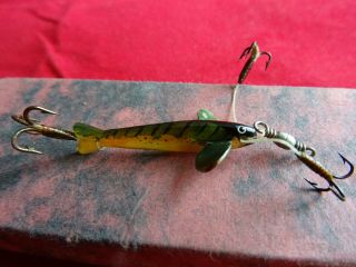 A STUNNING BOXED HORN (BOVINE) MINNOW LURES 4