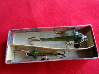 A STUNNING BOXED HORN (BOVINE) MINNOW LURES 8