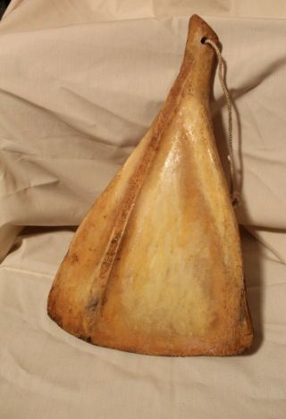 Large Bone,  Paddle Shaped - Unknown Orgin