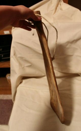 large bone,  paddle shaped - unknown orgin 2