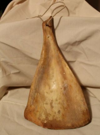 large bone,  paddle shaped - unknown orgin 3