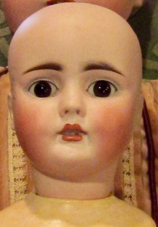 Antique 21 " German Bisque 224 Bahr Proschild Rare Perfect Doll,  Wonderful Face