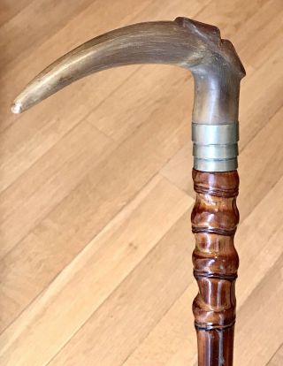 Vintage Antique Walking Stick Cane Horn Handle Bamboo Shaft Metal Collar Old 35”