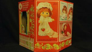 Sweet Sleeper Strawberry Shortcake With Custard Doll & Playset Kenner 1984 2