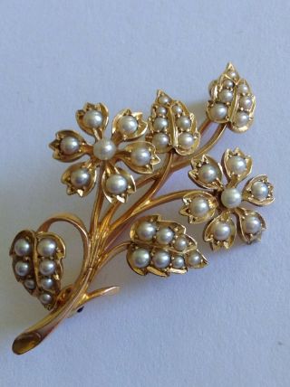 Delightful Victorian 15ct Gold & Seed Pearl Set Floral Spray Brooch