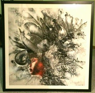 David Choe Rare Death Blossom Print,  Signed With,  Framed