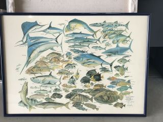 Vintage Print " 101 Fish Of The South Atlantic,  " Signed By Russ Smiley