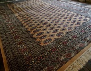 X Large John Lewis Handknotted Bokhara Wool Rug 3x2m Oriental Handmade Carpet