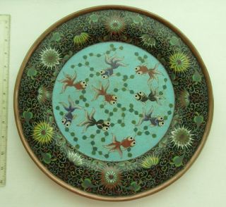 Rare 19th Century Antique Chinese Charger Champleve Enamel Copper Shubunkin Fish