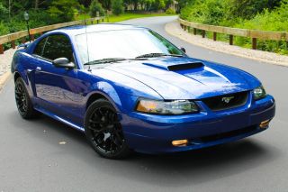 2002 Ford Mustang Gt Premium Supercharged