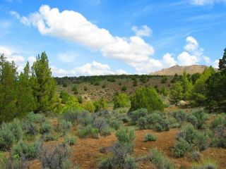 Ultra Rare 40 Acre Elko Nevada Ranch " Wildhorse Canyon " Cash