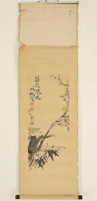 掛軸1967 Chinese Hanging Scroll " Ume Blossoms " @r942