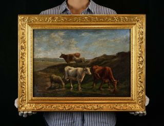 Fine 19th Century Antique Oil On Panel Painting | Cattle & Sheep In A Landscape