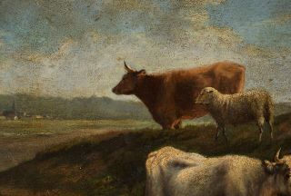 Fine 19th Century Antique Oil on Panel Painting | Cattle & Sheep in a Landscape 4