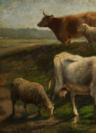 Fine 19th Century Antique Oil on Panel Painting | Cattle & Sheep in a Landscape 5