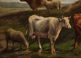 Fine 19th Century Antique Oil on Panel Painting | Cattle & Sheep in a Landscape 6