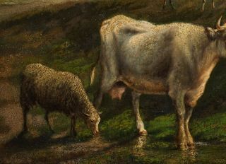 Fine 19th Century Antique Oil on Panel Painting | Cattle & Sheep in a Landscape 7