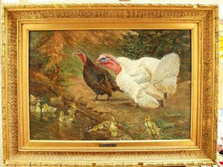 Large C1909 Turkeys & Ducklings In River Landscape Signed Antique Oil Painting
