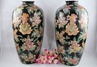 Antique Chinese Black Noire Famille Rose Floor Vases 17 1/2 " Tall Hallmarked