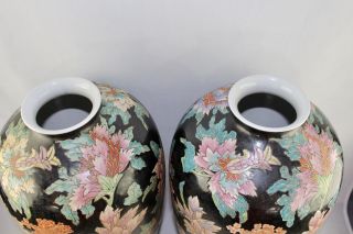 Antique Chinese Black Noire Famille Rose Floor Vases 17 1/2 