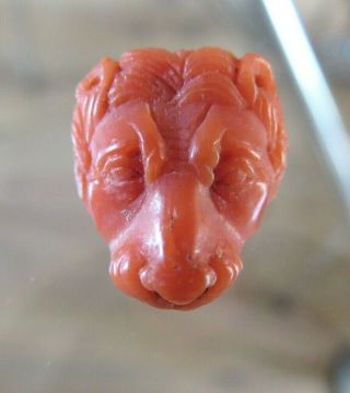Antique 19th Century Miniature Carved Coral Lions Head For Jewellery Etc
