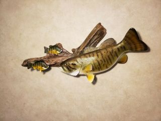 Smallmouth bass bluegill wood carving fish taxidermy fishing lure Casey Edwards 10
