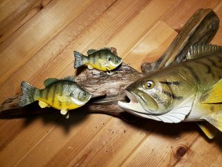 Smallmouth bass bluegill wood carving fish taxidermy fishing lure Casey Edwards 3