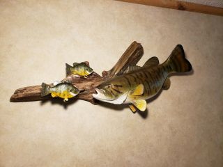 Smallmouth bass bluegill wood carving fish taxidermy fishing lure Casey Edwards 7