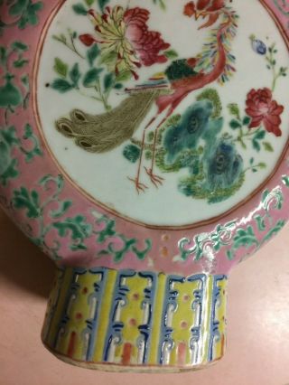 Antique Chinese famille rose porcelain moon flask vase,  H10.  5” 8