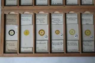 SET OF 36 CASED ANTIQUE DIATOM MICROSCOPE SLIDES BY W.  A.  FIRTH 9