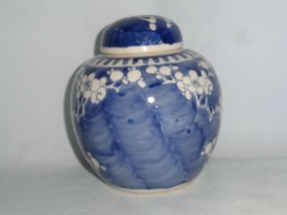 Chinese porcelain spice jar & cover.  ' Prunus ' pattern 3