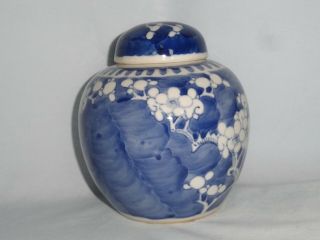 Chinese porcelain spice jar & cover.  ' Prunus ' pattern 4