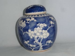 Chinese porcelain spice jar & cover.  ' Prunus ' pattern 5