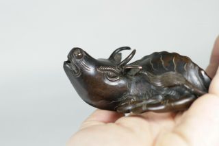 Antique Chinese 17th /18th Century BronzeWater Buffalo Water Dropper Scholars 11