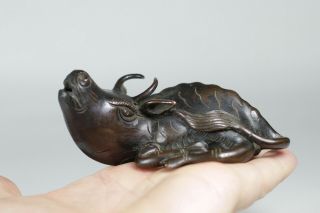 Antique Chinese 17th /18th Century BronzeWater Buffalo Water Dropper Scholars 9