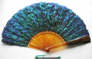 Rare Antique Victorian Faux Tortoiseshell Schildpatt Lophophore Feathe Fan 1890