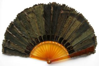 RARE Antique Victorian Faux Tortoiseshell Schildpatt Lophophore Feathe Fan 1890 6