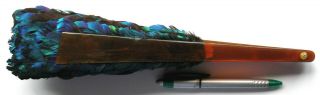 RARE Antique Victorian Faux Tortoiseshell Schildpatt Lophophore Feathe Fan 1890 7