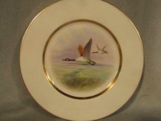 Vintage Lenox Hand Painted Porcelain Bird Plate " Canada Goose " 5 Artist Nosek