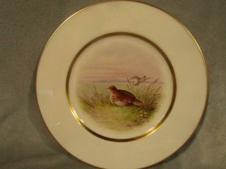 Vintage Lenox Hand Painted Porcelain Bird Plate " Partridge " 4 Artist Nosek