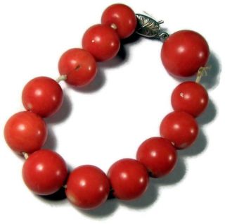 Antique Natural Red Coral Loose Beads 31.  4 Grams 14mm - 10mm