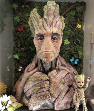 King Arts Groot Lifesize Bust Extremely Rare.  Hard To Find.  Very Limited