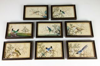 Set Of Antique 19th Century Chinese Pith Paintings - Exotic Birds Rice X 8