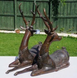VERY LARGE FINE PAIR Antique Bronze Reindeer QING DYNASTY 11