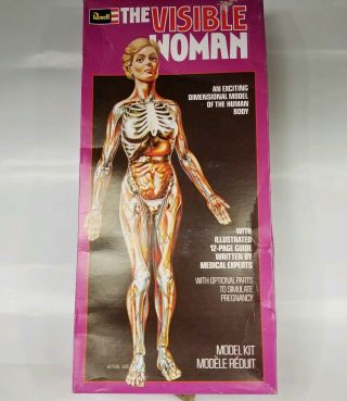 1977 Revell The Visible Woman Model Kit And Instructions