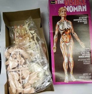1977 Revell The Visible Woman Model Kit and Instructions 2